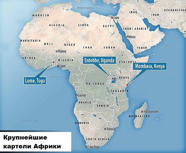 Сэмюэль Вессер, профессор биологии Вашингтонского университета, сказал, что это ДНК-исследование было проведено для того, чтобы помочь властям собрать доказательства преступления.