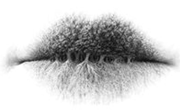 3. Что ты увидел(а) на картинке в первую очередь?