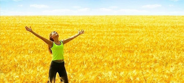 Если вы выбрали волка,..