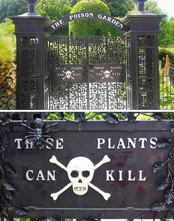 10. В Англии есть сад, полный опасных и ядовитых растений. Интересно, что этот сад открыт для посетителей!