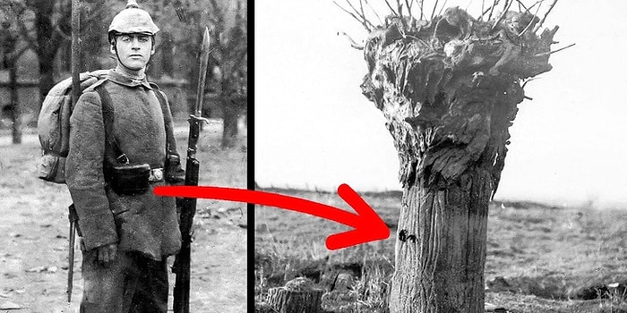 Знание - сила! Факты, которые навсегда изменят вашу жизнь