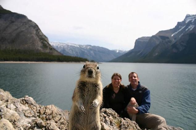 2. Real life Alvin and the chipmunks!