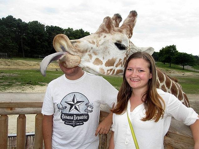 7. "He is not the right guy for you Carol, I am!" -The Giraffe