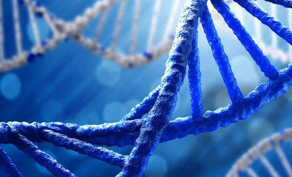 Taciz sonucu DNA'nın daha sonraki kuşaklara aktarılabileceği bulguları araştırılıyor.
