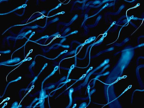 22'si çocukken cinsel tacize uğrayan 34 erkeğin spermleri incelendi.