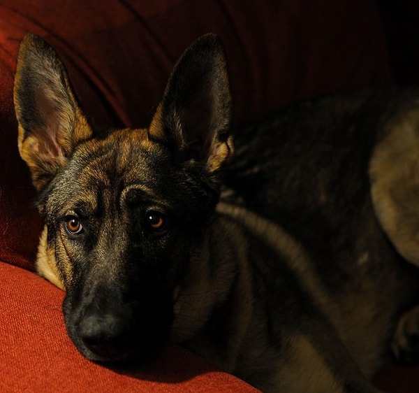 23. "Одиночество"