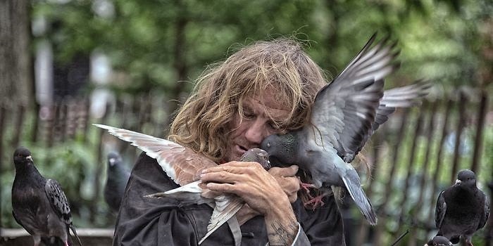 Фотографии, сделанные обычными людьми и напоминающие шедевры