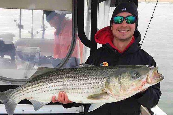 21 Eylül 2018 tarihinde ABD'de amatör balıkçı olan Fabrizio Stabile, çok nadir rastlanan bir amip türü yüzünden hayatını kaybetti.