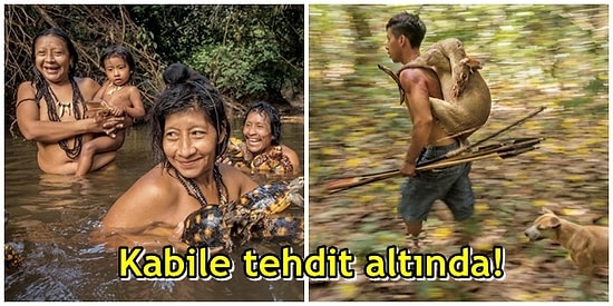 Amazonda Yaşam Savaşı: Awá Kabilesi Kanun Kaçakçılarının Tehditi Altında!
