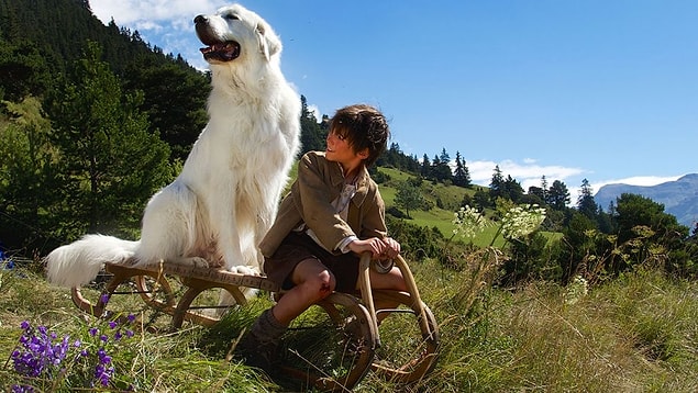 4. Belle & Sebastian