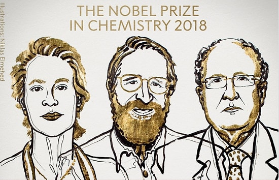 Üç Bilim İnsanına Verildi:  Frances H. Arnold Nobel Kimya Ödülü'nü Alan Beşinci Kadın