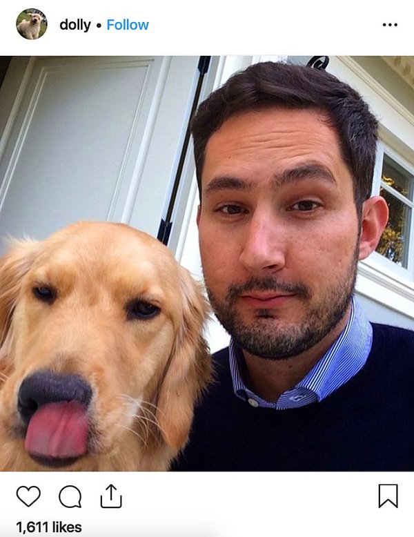 Dolly ismindeki köpeklerinin de bir Instagram hesabı ve 21,000 takipçisi var.