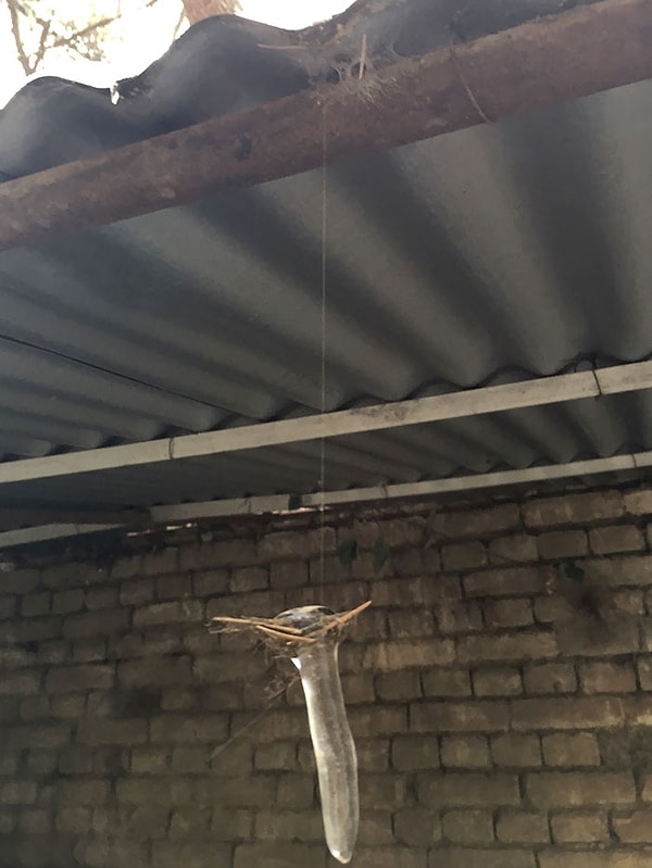 13. Сосулька, которая держится на паутинке