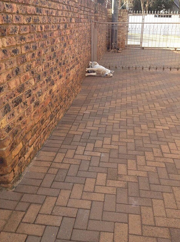 14. Баг или фича?