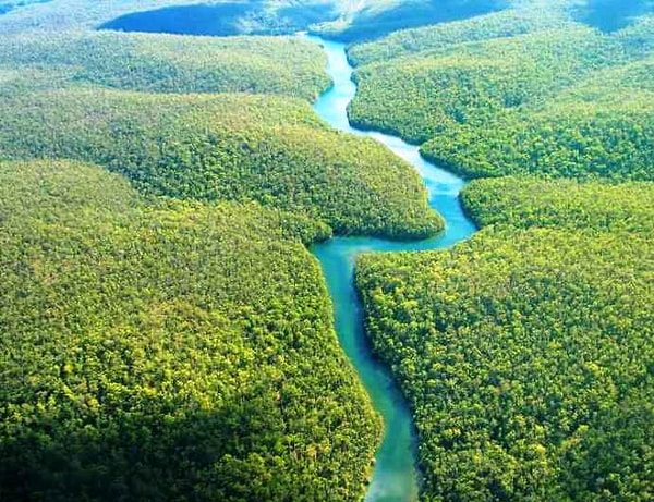 10. Какая река самая длинная в мире?