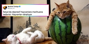 Yaptıkları Haberlere Kullandıkları Görsellerle Müthiş Uyum Yakalayanlardan 15 Güldüren Örnek
