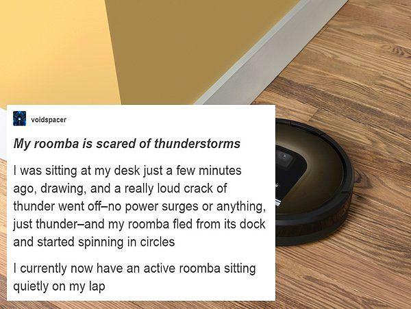 1. Roombas are important for us!