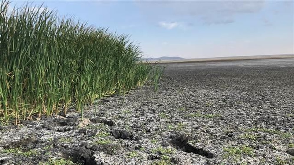Yok Etmeye Devam Ediyoruz: 'Kuyucuk Gölü Kuş Cenneti' Kurudu, Yüzlerce Kuş Türü Bölgeyi Terk Etti