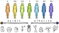 Kilo Vermede ve Sağlıklı Beslenmede Etkili Olduğu Söylenen Alkali Diyetini Duymuş muydunuz?