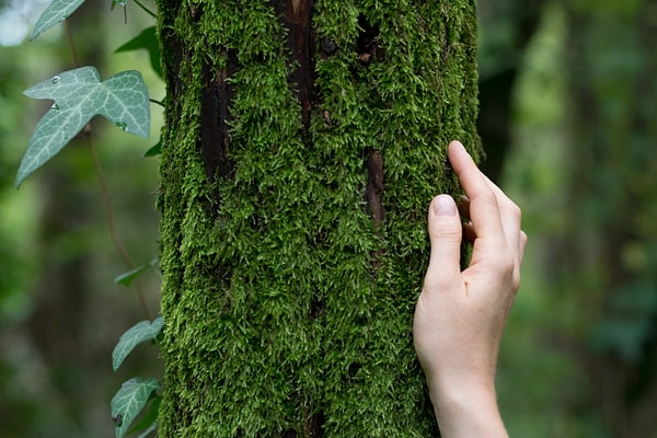 Чувствительность, оторванность от мира и нервозность!