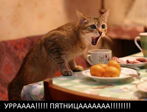 1. Вечер пятницы. Что будете делать?