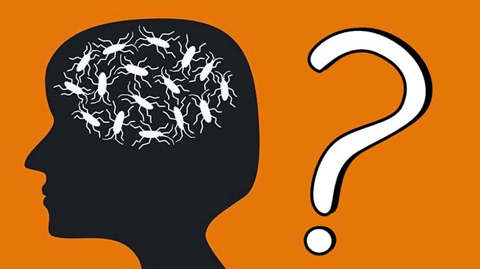 Тест: Какие тараканы живут у вас в голове?