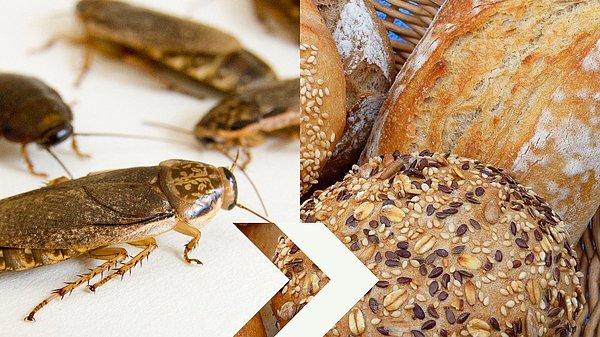 Bu ürünü keşfettikten sonra bilim insanları sağlıklı ve besleyici hamam böceği unuyla bir ekmek yaptı.