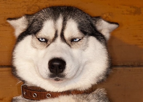 8. Опишите себя одним словом.