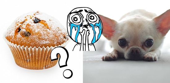 Тест на внимательность, в котором мужчины поголовно делают ошибки