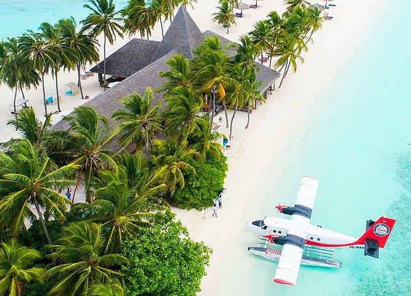 Hint Okyanusu'nun en önemli tatil yerlerinden biri Maldivler'de kitap kurtlarına uygun bir iş pozisyonu açılmış durumda.