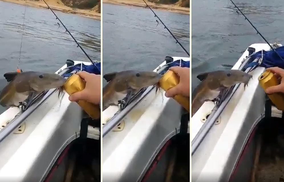 Balık Tutmaya Gidip, Bir Balıkla Arkadaş Olan ve Birasını Paylaşan Adam