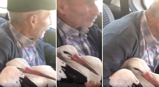 Yaralı Hayvana Yardım Elini Uzatan 70 Yaşındaki Salih Dededen İnsanlık Dersi