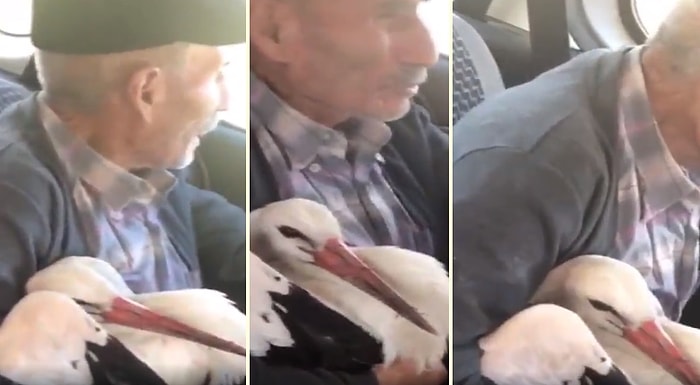 Yaralı Hayvana Yardım Elini Uzatan 70 Yaşındaki Salih Dededen İnsanlık Dersi