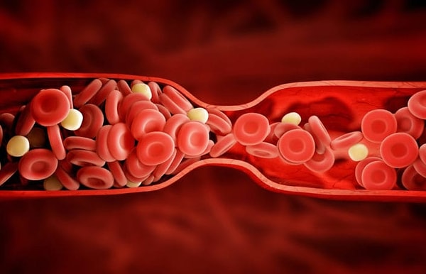 5. Pancar yapraklarının K vitamini ile dolu olduğunu biliyor muydunuz?