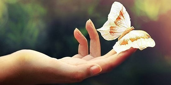 Ответьте на философские вопросы и узнайте, кто вы