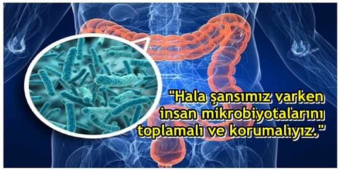 Nuh'un Gemisi Ruhu Yeniden! Bilim İnsanlarından Çığır Açacak Nitelikte Bir Araştırma: Mikrobiyota Deposu