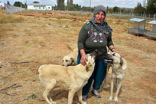 Yüreği güzel kadın Rukiye Bağcı, Konya'nın Doğanhisar ilçesinde 15 yıldır sokak hayvanlarını besliyor.
