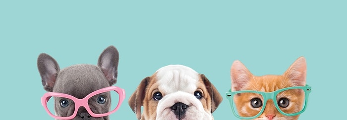 Тест: Какое домашнее животное - ваше подсознание?