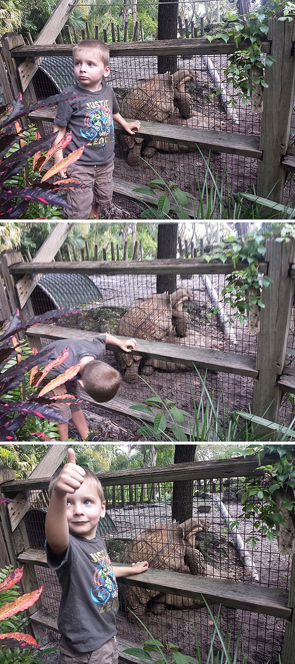 14. "Пошли с сыном в зоопарк. Думаю, он многому научился от животных".