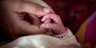 Fransa'da Pestisit Alarmı! Kırsal Kesimdeki Üç Köyde 14 Bebek Kolsuz veya Bacaksız Doğdu