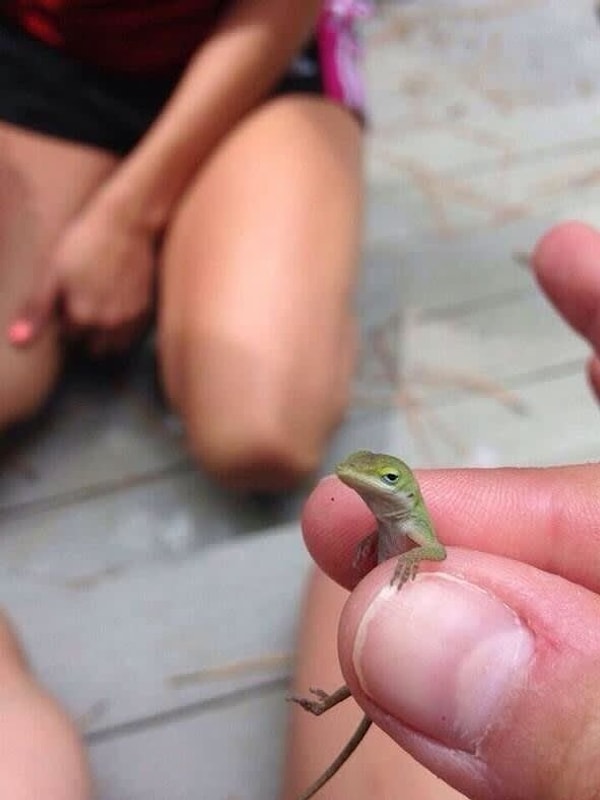 5. «Поставь меня на землю, Саша! Не смешно!»