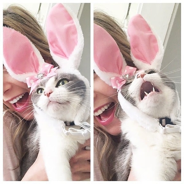 14. «Ради Христа, Лена! Пасха была неделю назад!»