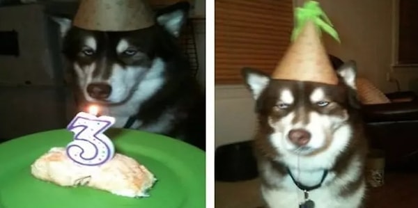 6. «Отличная вечеринка. Это был сарказм»