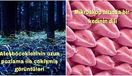 Photoshop'a İhtiyaç Duymadan da Büyüleyici Olmayı Başarmış Bu Görüntüleri Mutlaka Görmelisiniz!