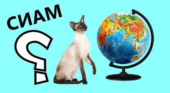 Тест: Только гуру географии и истории сможет указать старые названия городов и стран