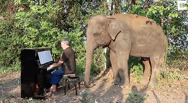 Пол тоже хотел быть полезным. Но не в плане ухода за животными (поскольку таких сотрудников и так хватает), а каким-то другим образом.