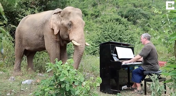 Потом я пришел сыграть для них еще раз и еще раз.