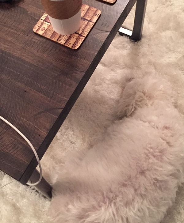 20. Так ведь и наступить можно!?