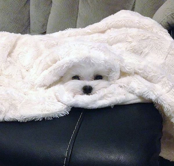 21. Или присесть...