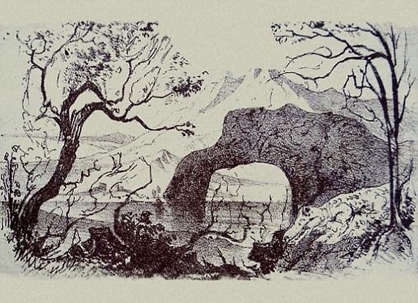 2. Сколько существ спрятались здесь?